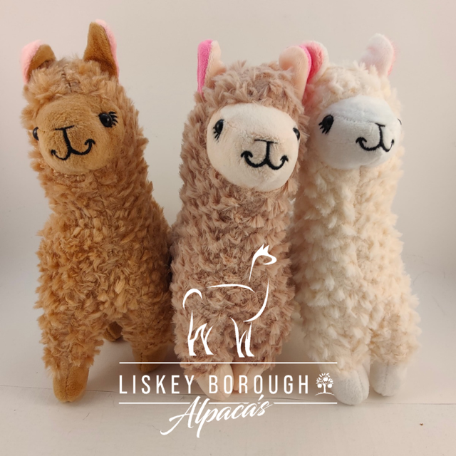 Alpaca Soft Toy