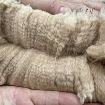 Professional Alpaca Shearing Service